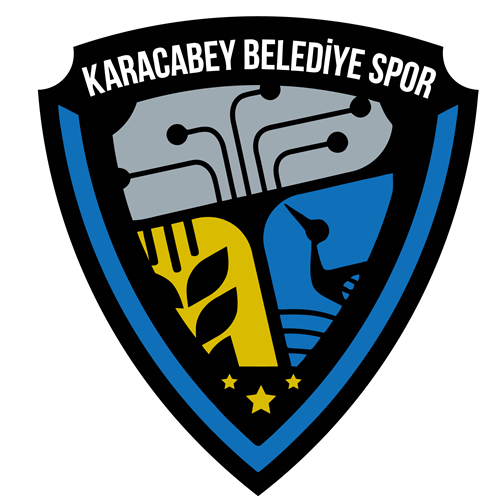 Karacabey Belediyespor AS U19 队徽